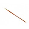 Coloro Brush 4
